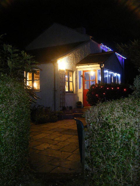 A closer view of Liam & Alison's house lights.